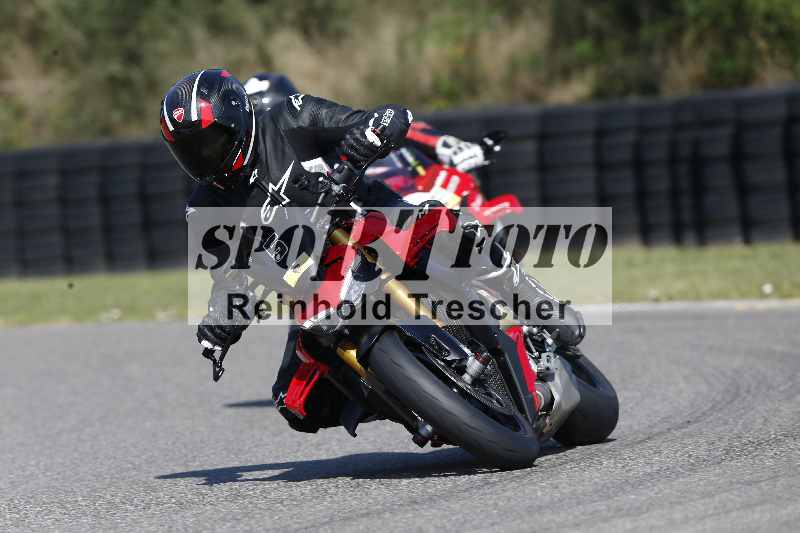 /46 11.08.2025 PADDYS-RACES-DAYS ADR/Sport-Profi/5